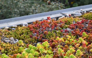 the cost of Norton Hawkfield green roof installation